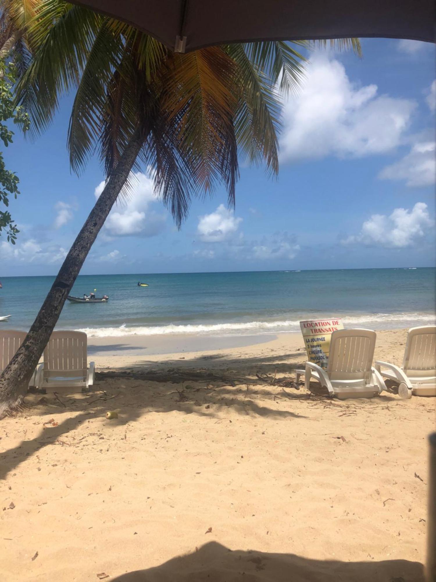 Case Coco A Sainte Anne Avec Wifi Vue Mer Εξωτερικό φωτογραφία